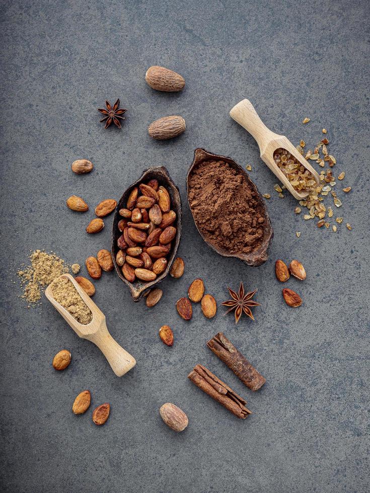 Cocoa beans and powder photo