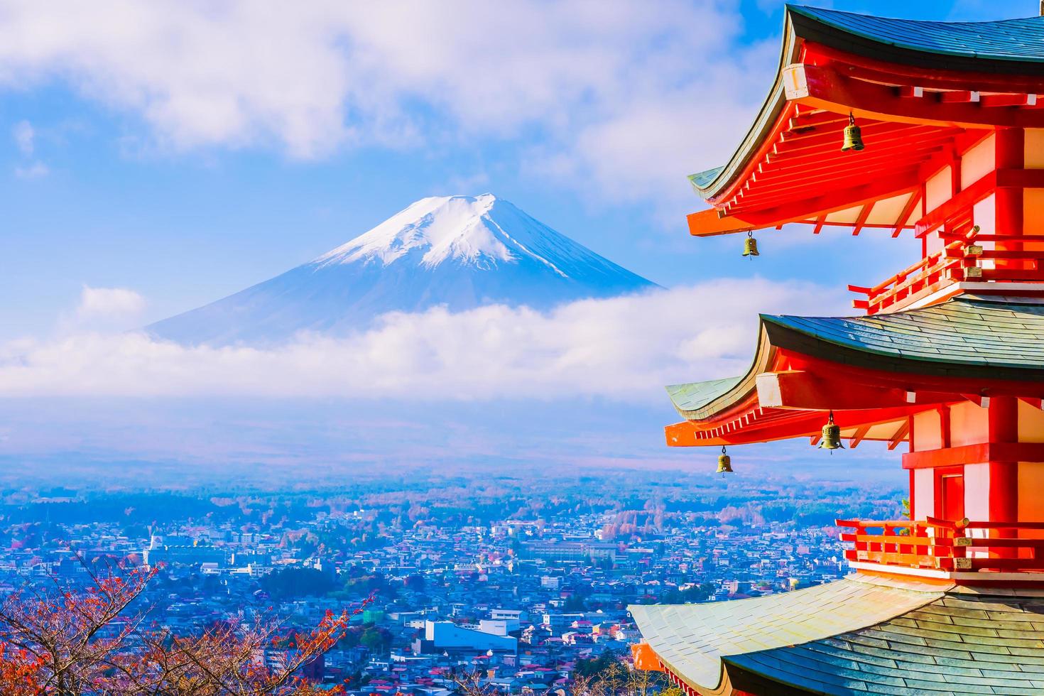 Mt. Fuji with Chureito pagoda in Japan photo