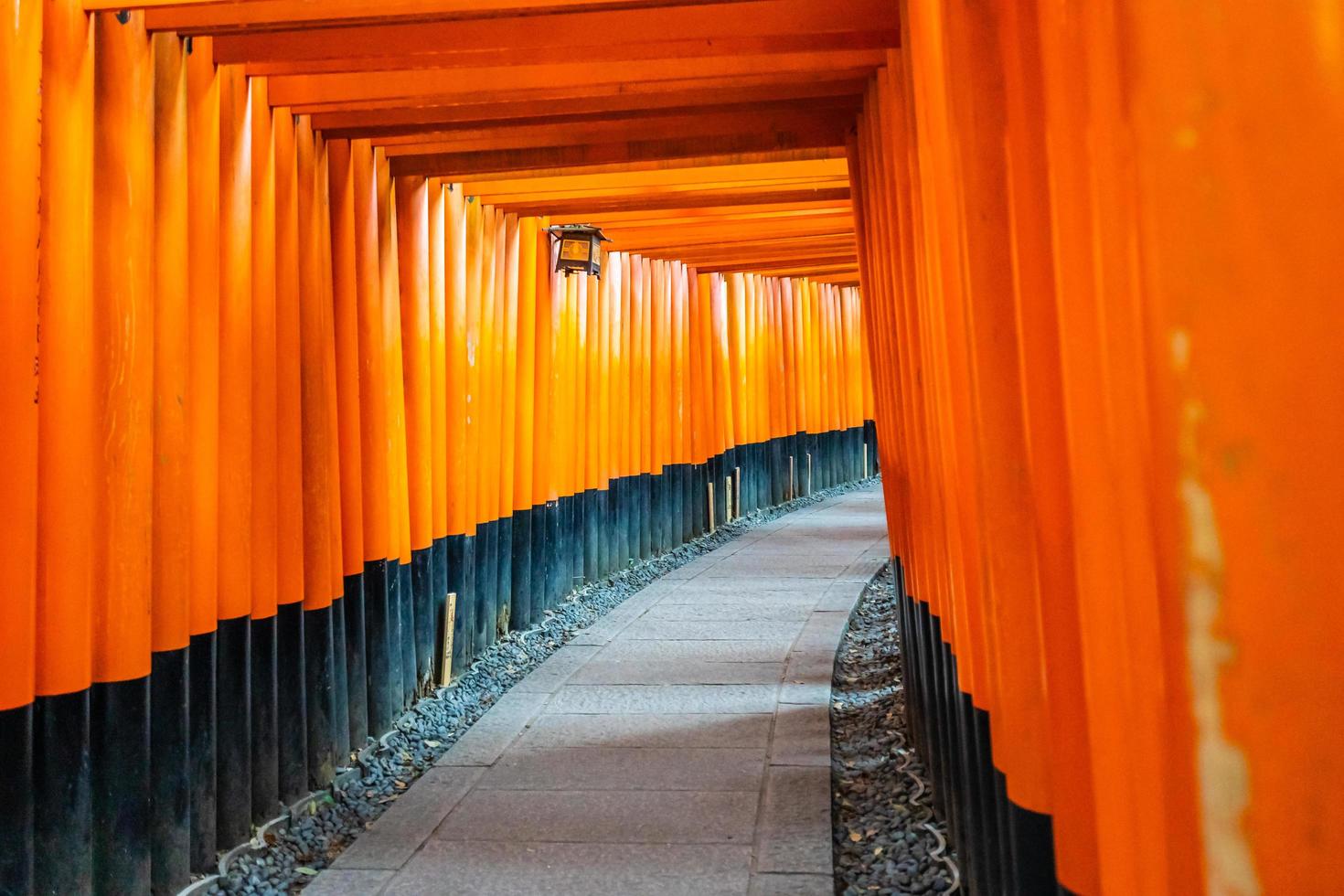 Torii gates at the Fushimi Inari shrine in Kyoto, Japan photo