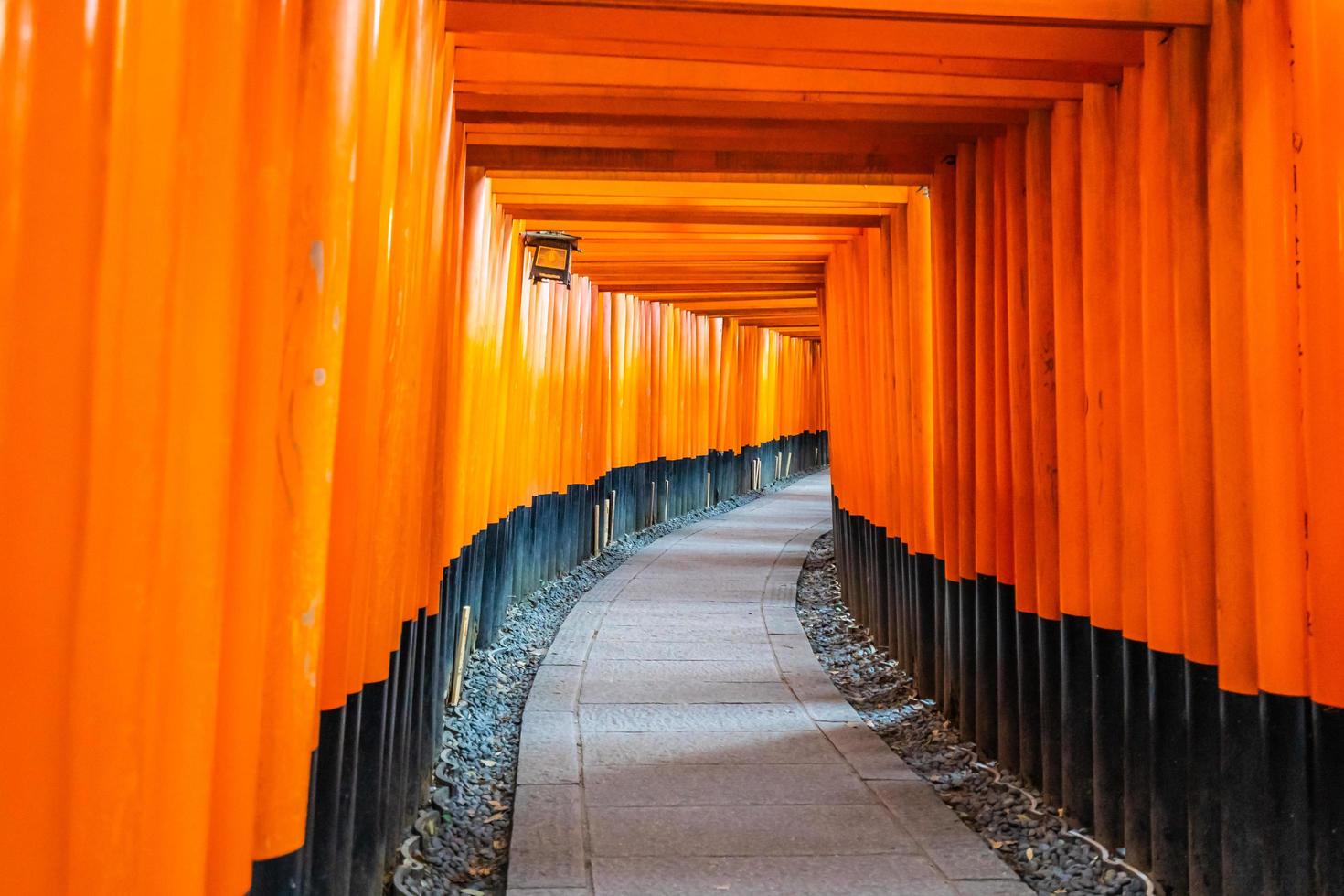 Torii gates at the Fushimi Inari shrine in Kyoto, Japan photo