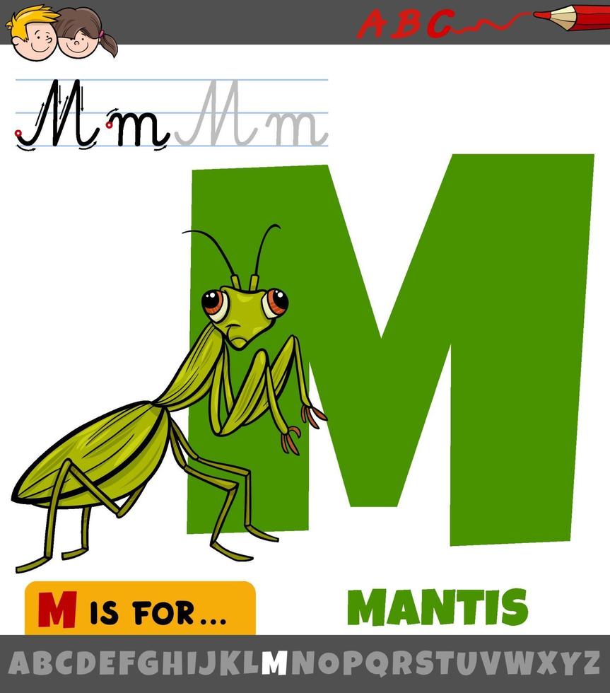 Letra m del alfabeto con dibujos animados de insectos mantis 2057986 Vector  en Vecteezy
