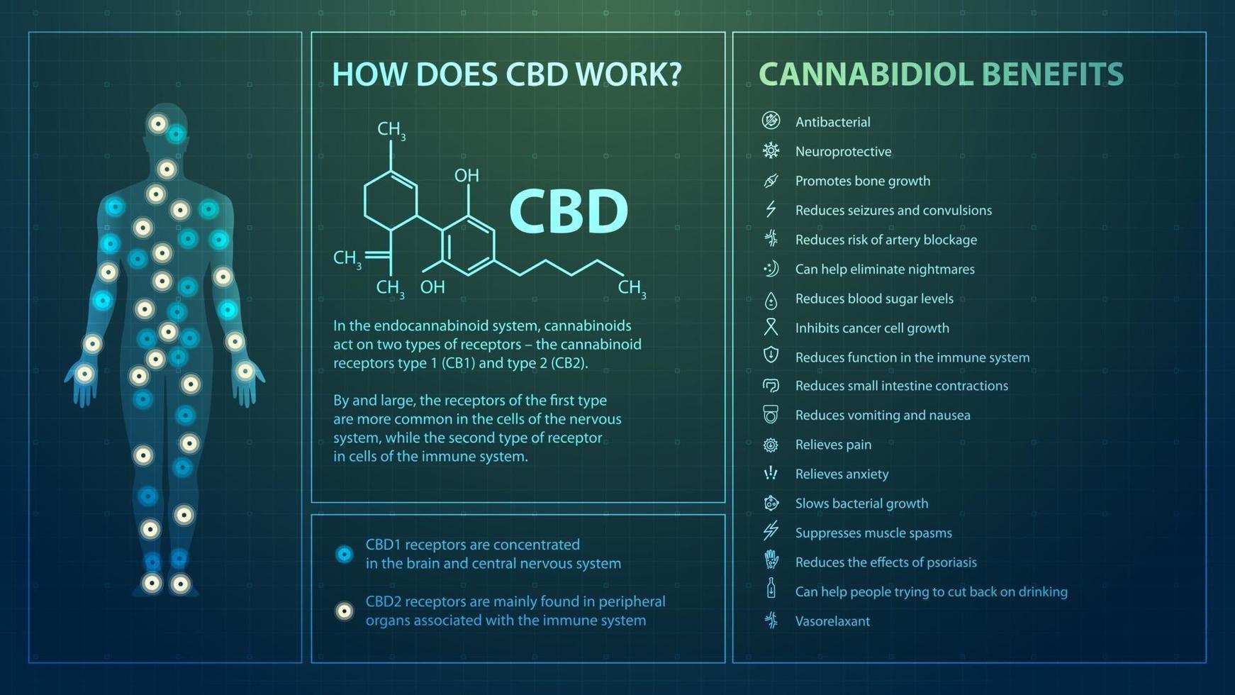 cómo funciona el cbd, póster en estilo digital con infografías, fórmula química de cannabidiol y lista de beneficios de cannabidiol vector