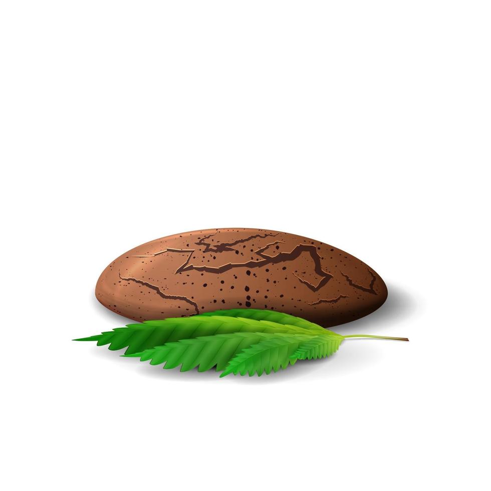Cannabis cookies with leaf of cannabis in volumetric cartoon style isolated on white background. Cannabis cookies with CBD vector