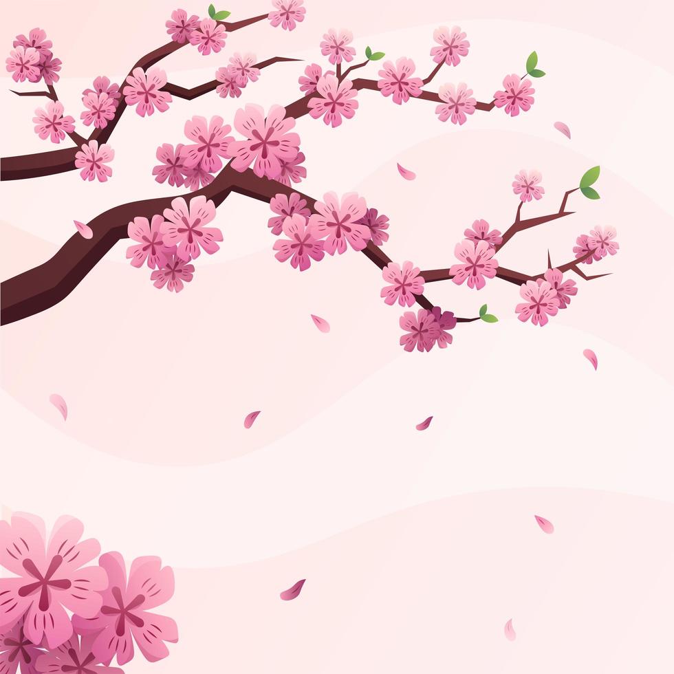 Beautiful Cherry Blossom Background vector