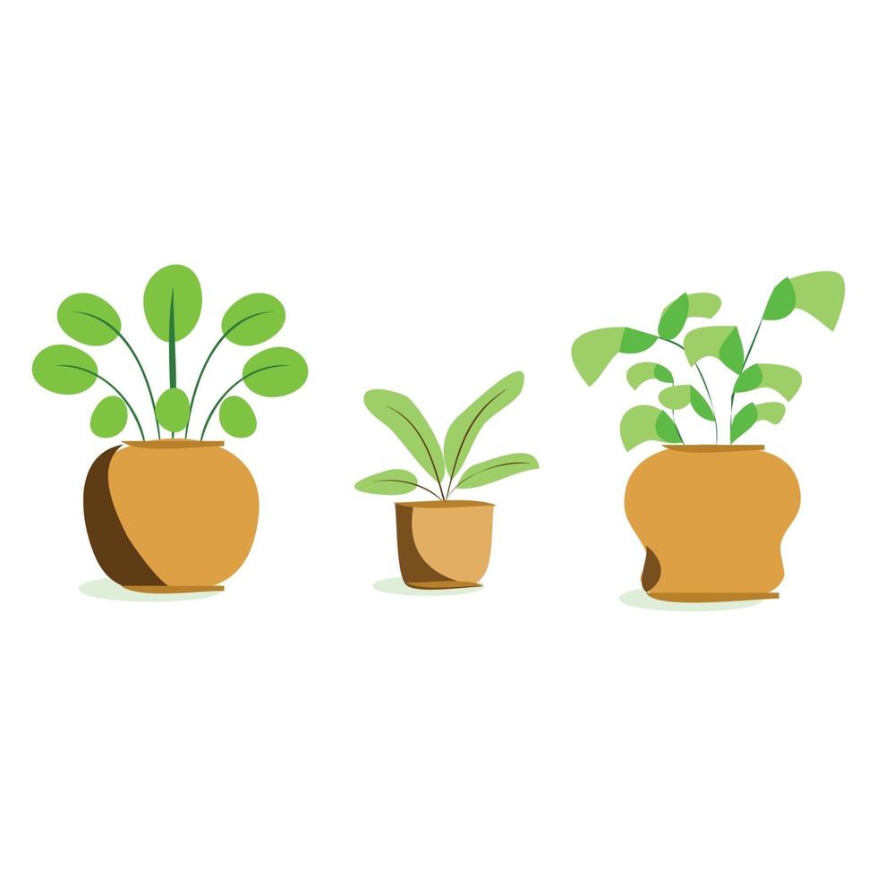 plant in the pot vector