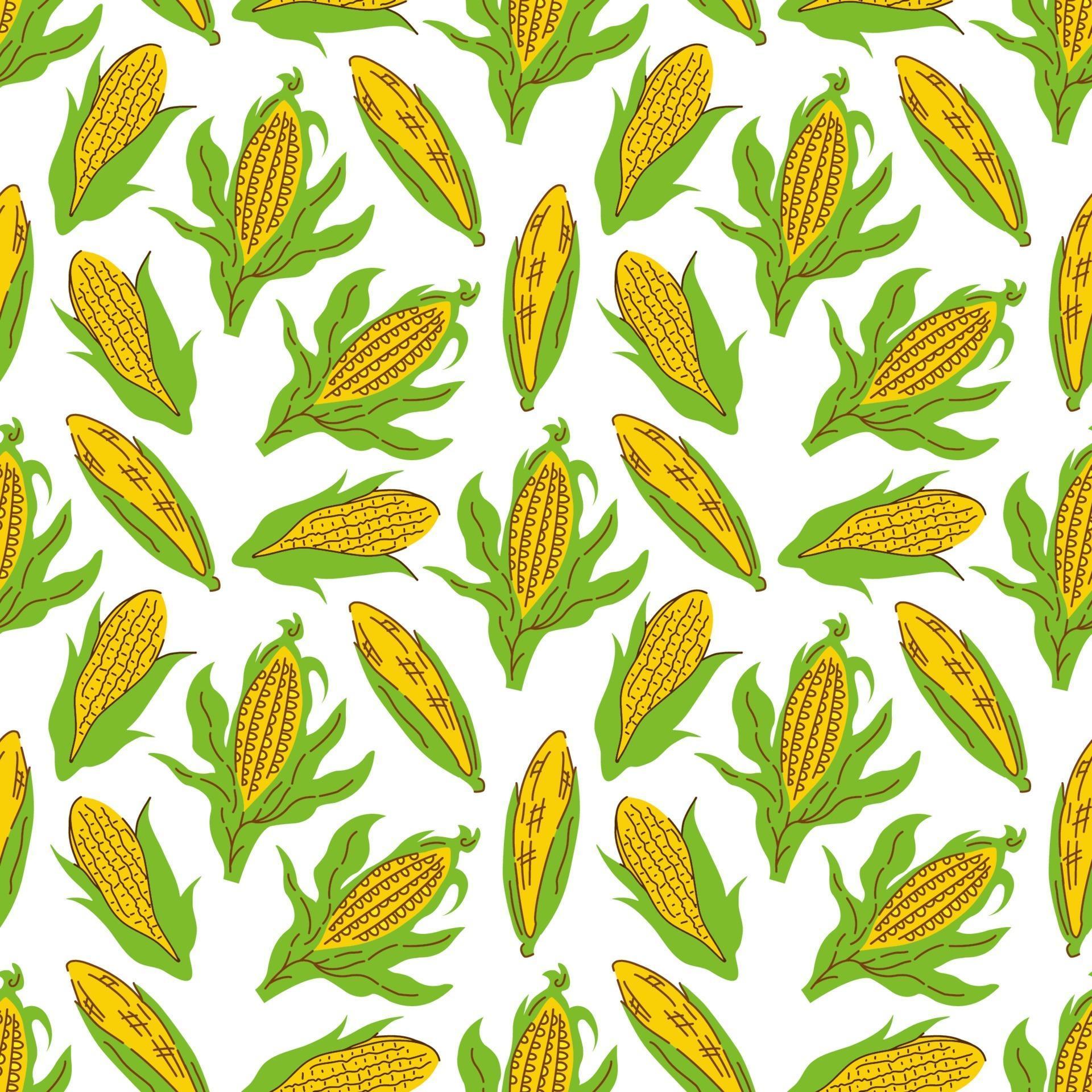 corn vector seamless pattern background vector. Background for menu