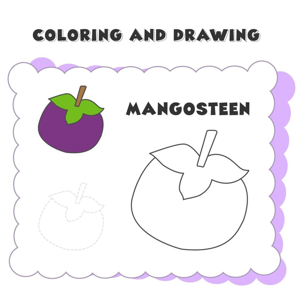 Libro para colorear y dibujar elemento mangostán vector