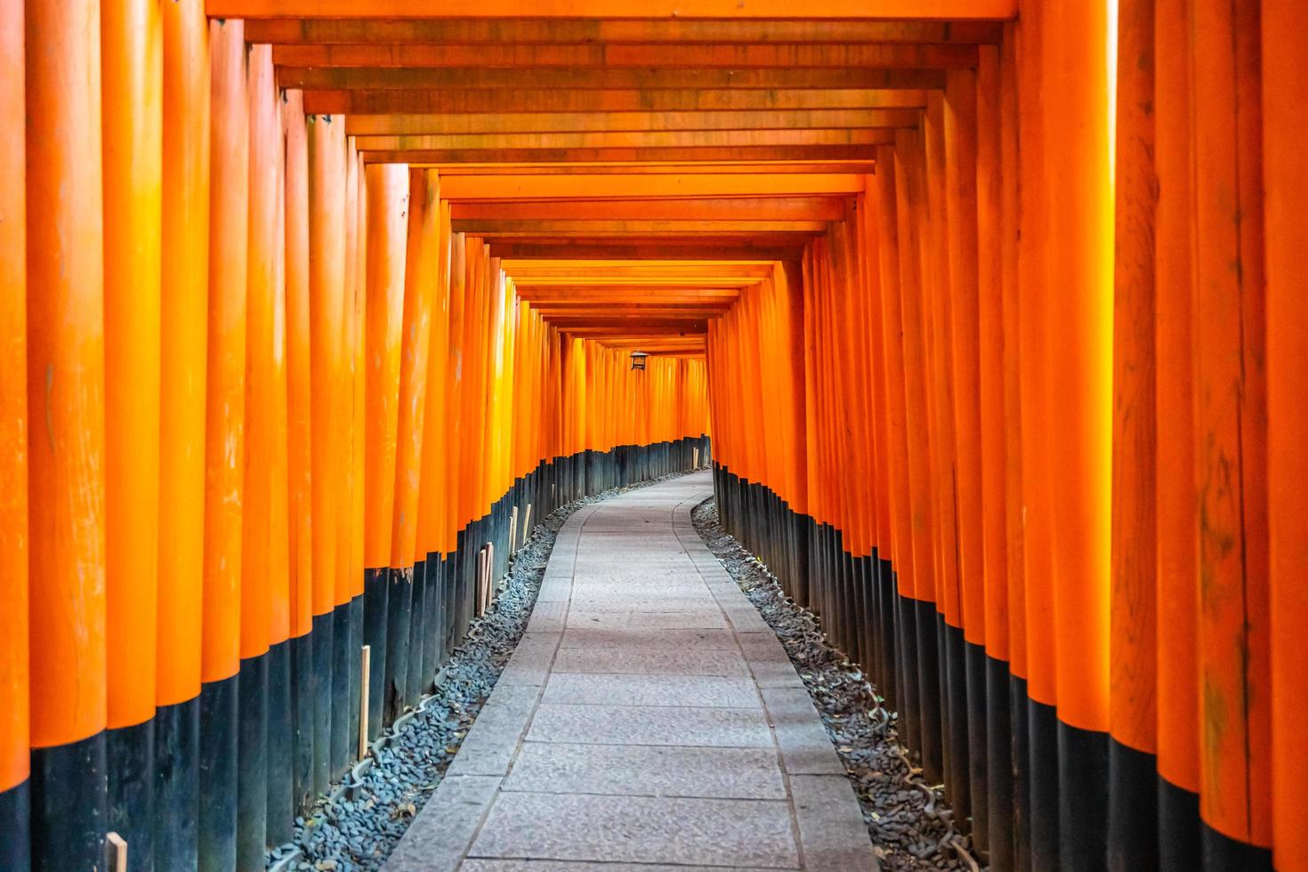 Puertas torii en el santuario Fushimi Inari en Kioto, Japón foto