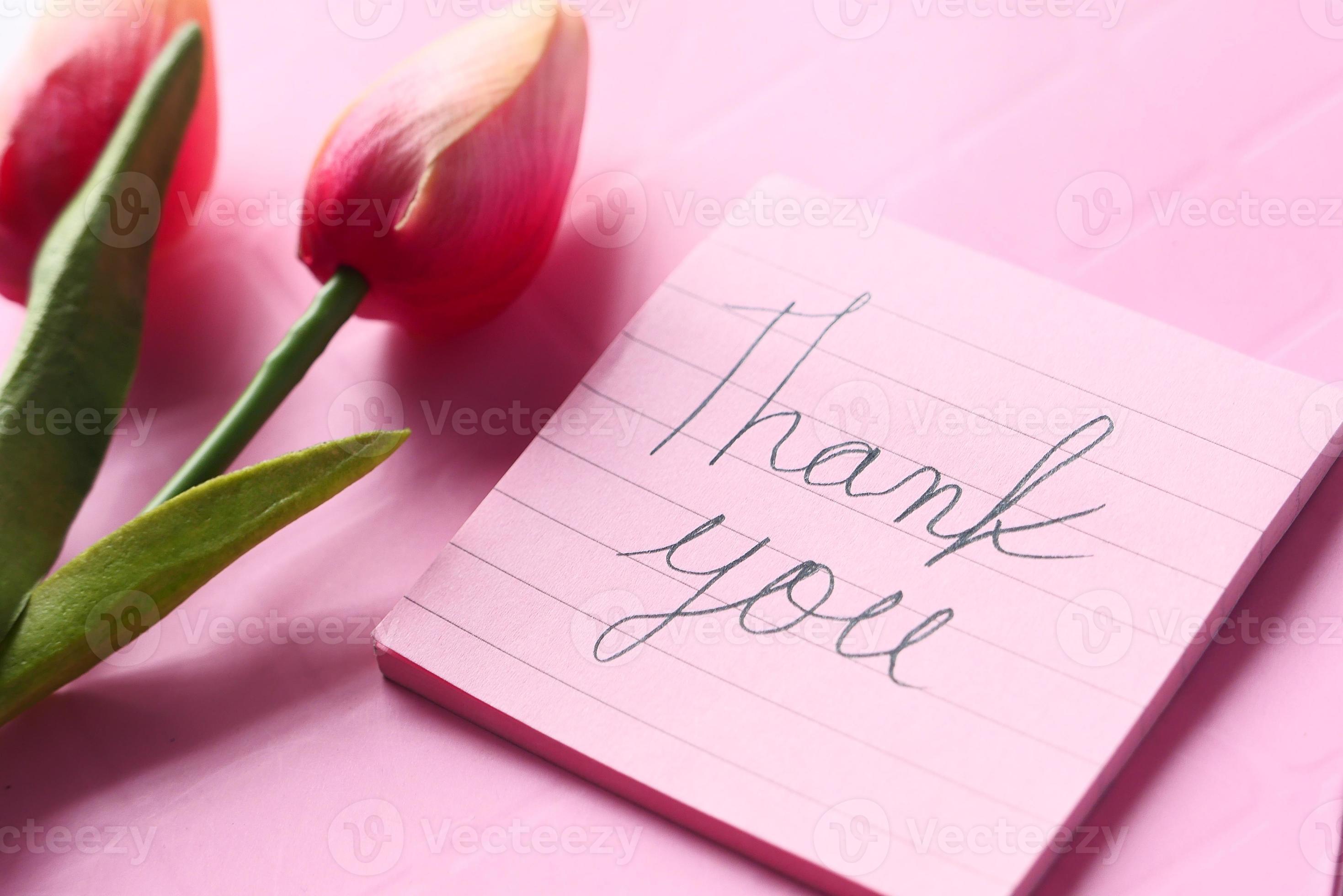 Thank you message with tulip flower on pink background 2060019 Stock