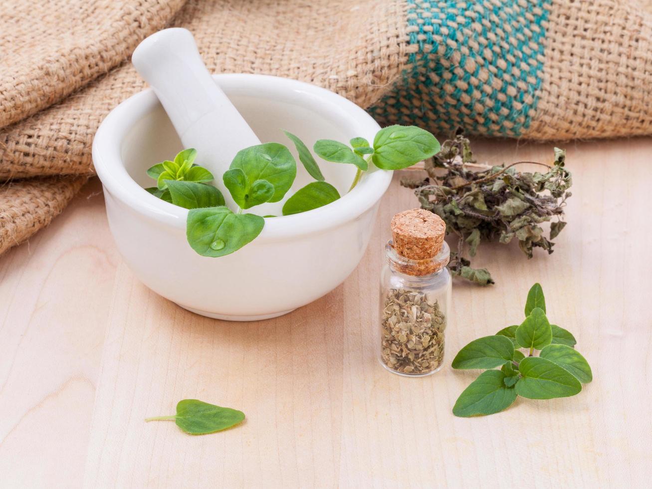 Fresh and dry oregano photo