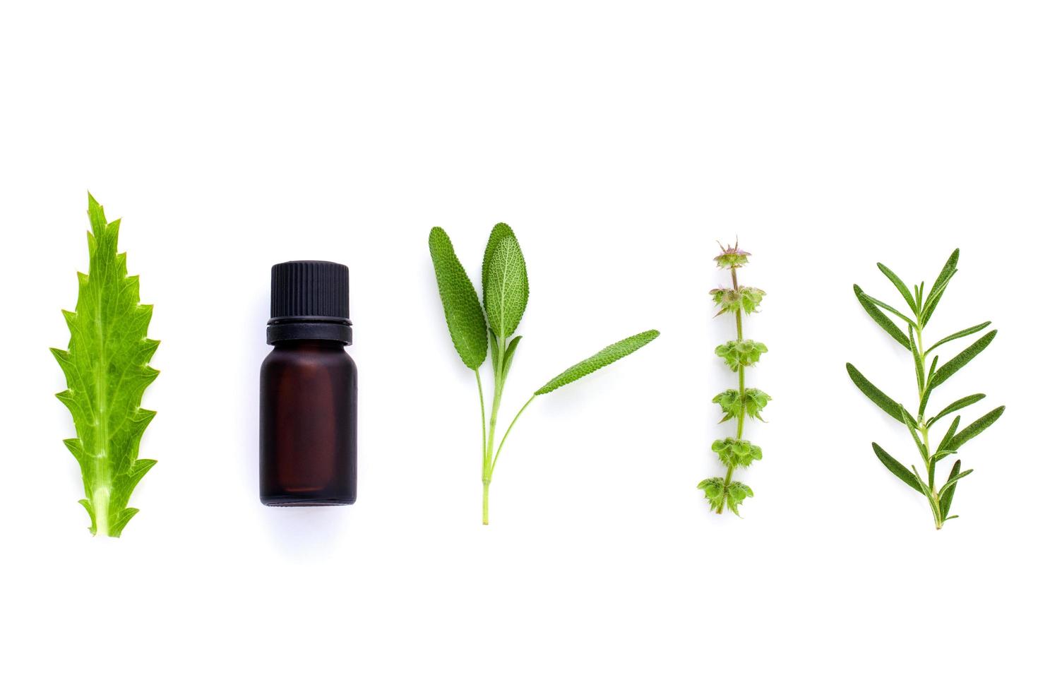 Herbs with an essential oil bottle photo
