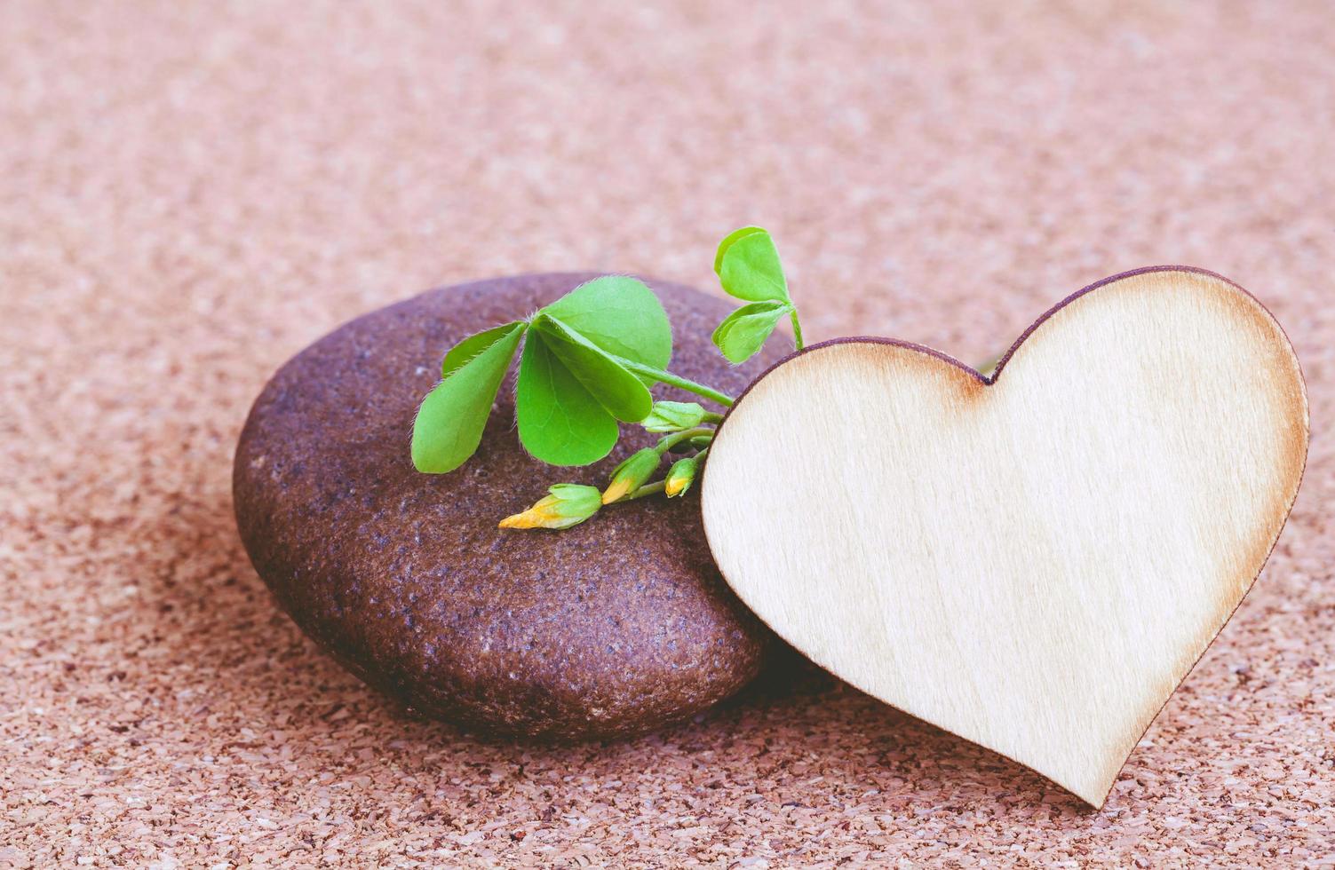 corazón de madera y una piedra foto