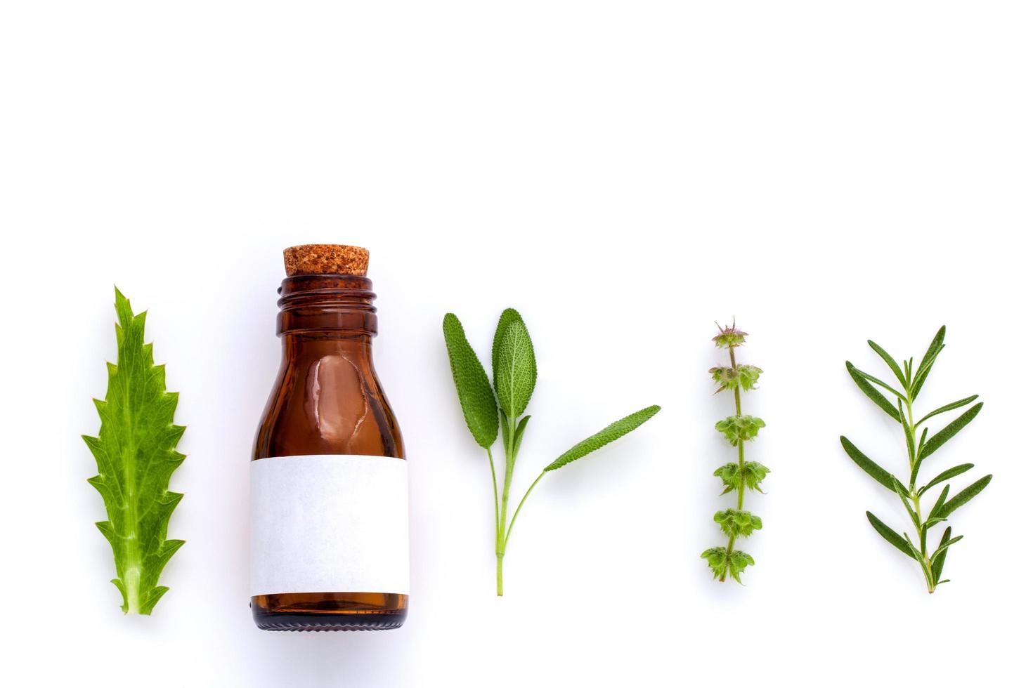 Fresh herbs and a bottle photo