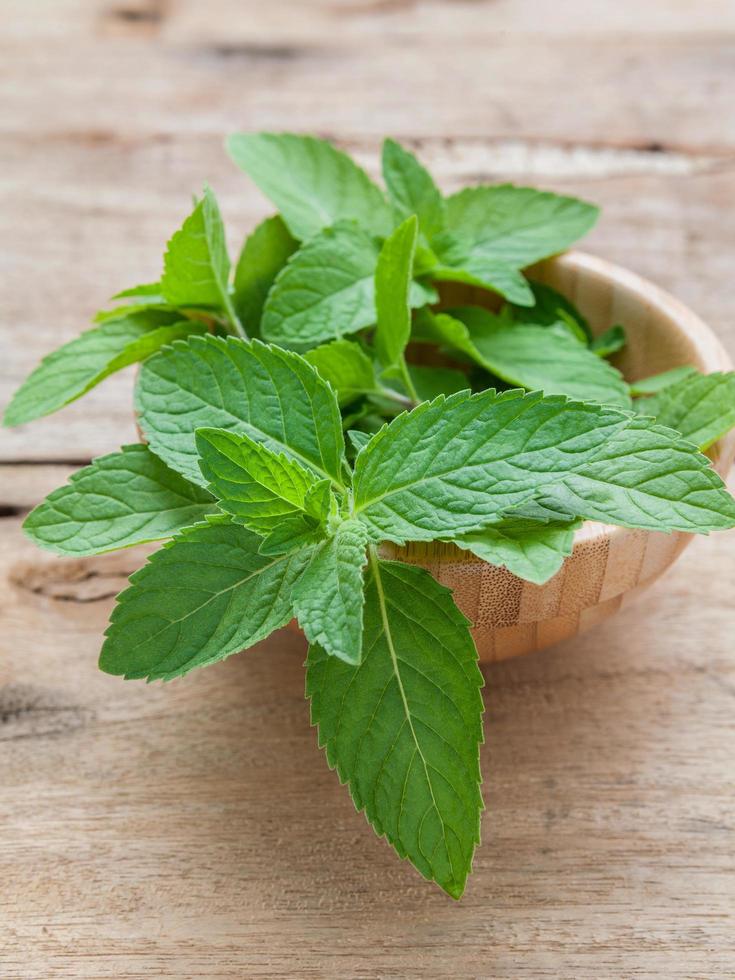 Mint in a bowl photo