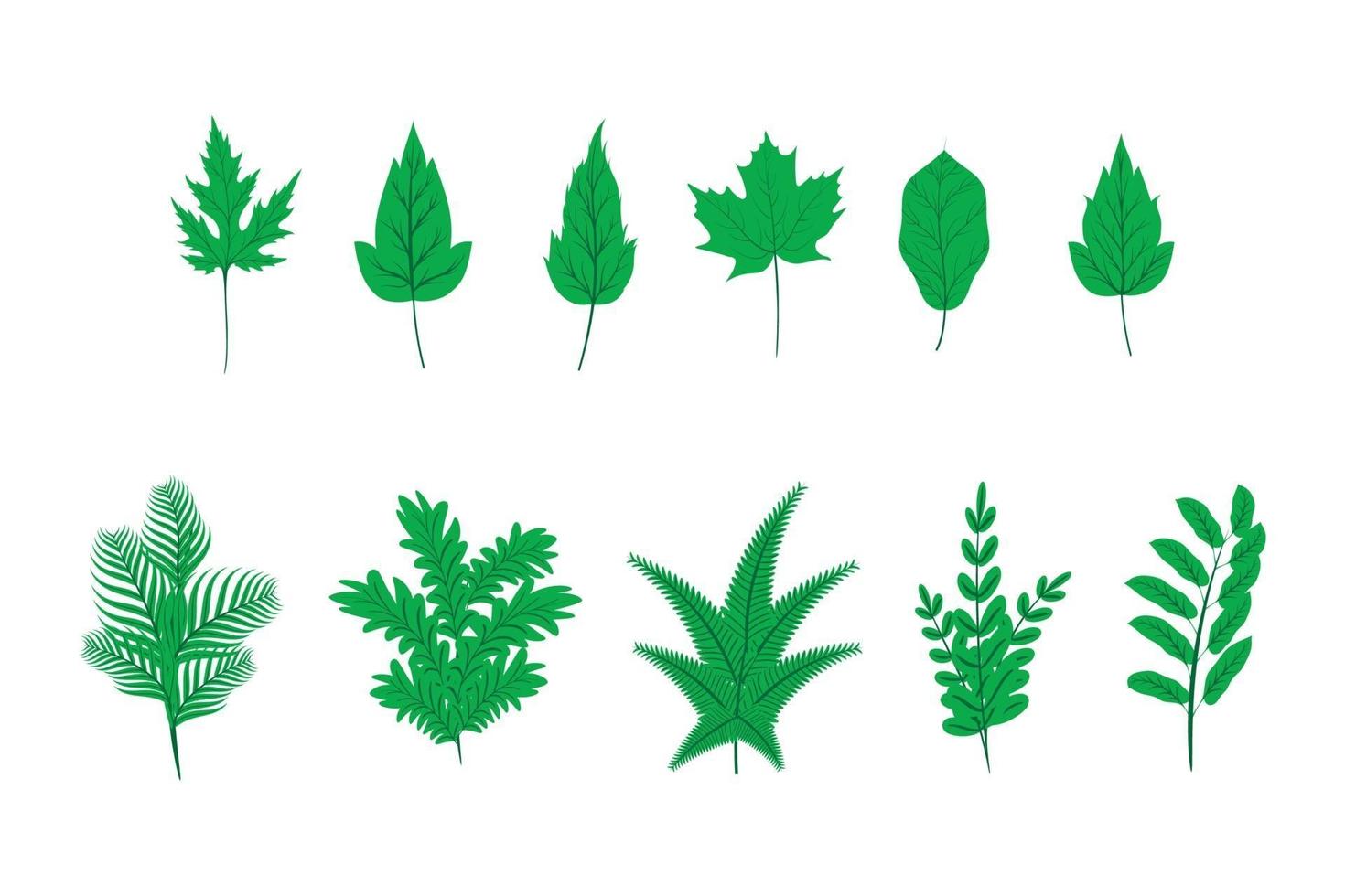 Collection of green plant leaves in flat style vector