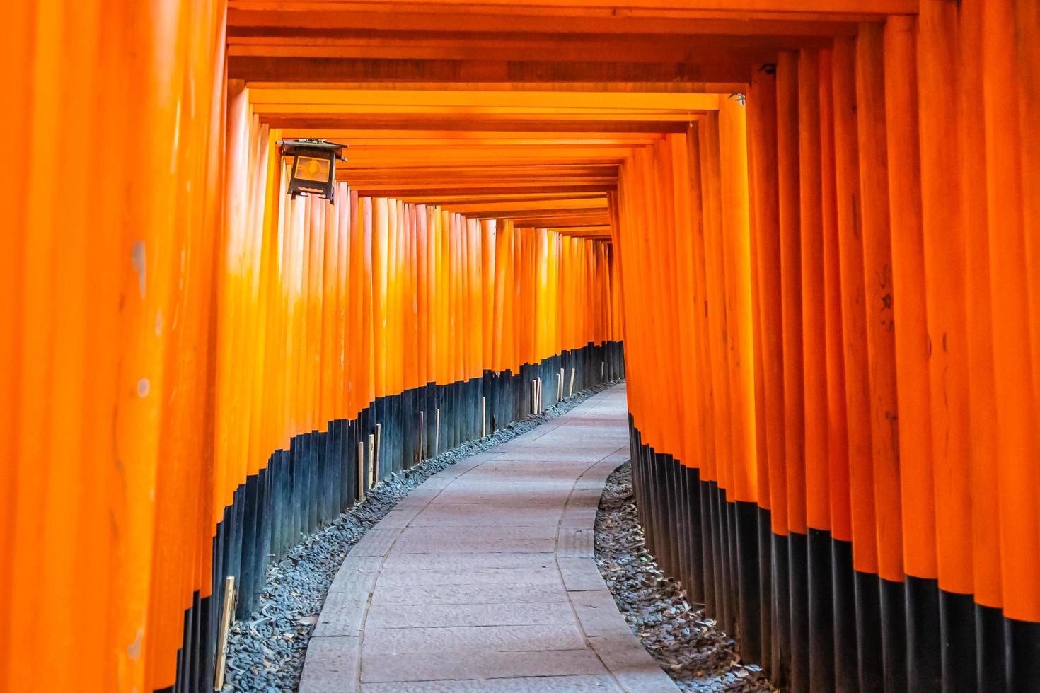 Torii gates at the Fushimi Inari shrine in Kyoto, Japan photo