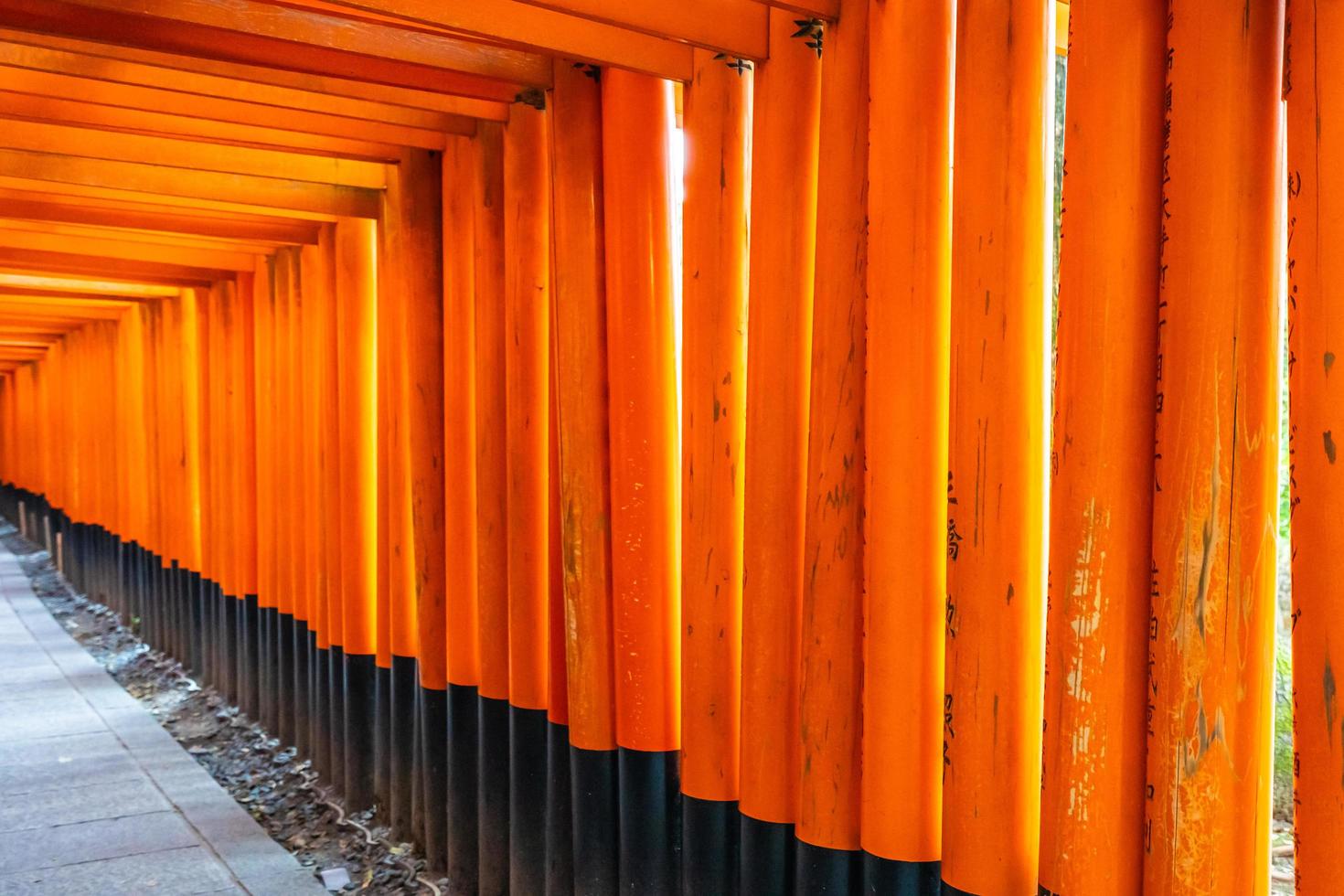 Puertas torii en el santuario Fushimi Inari en Kioto, Japón foto