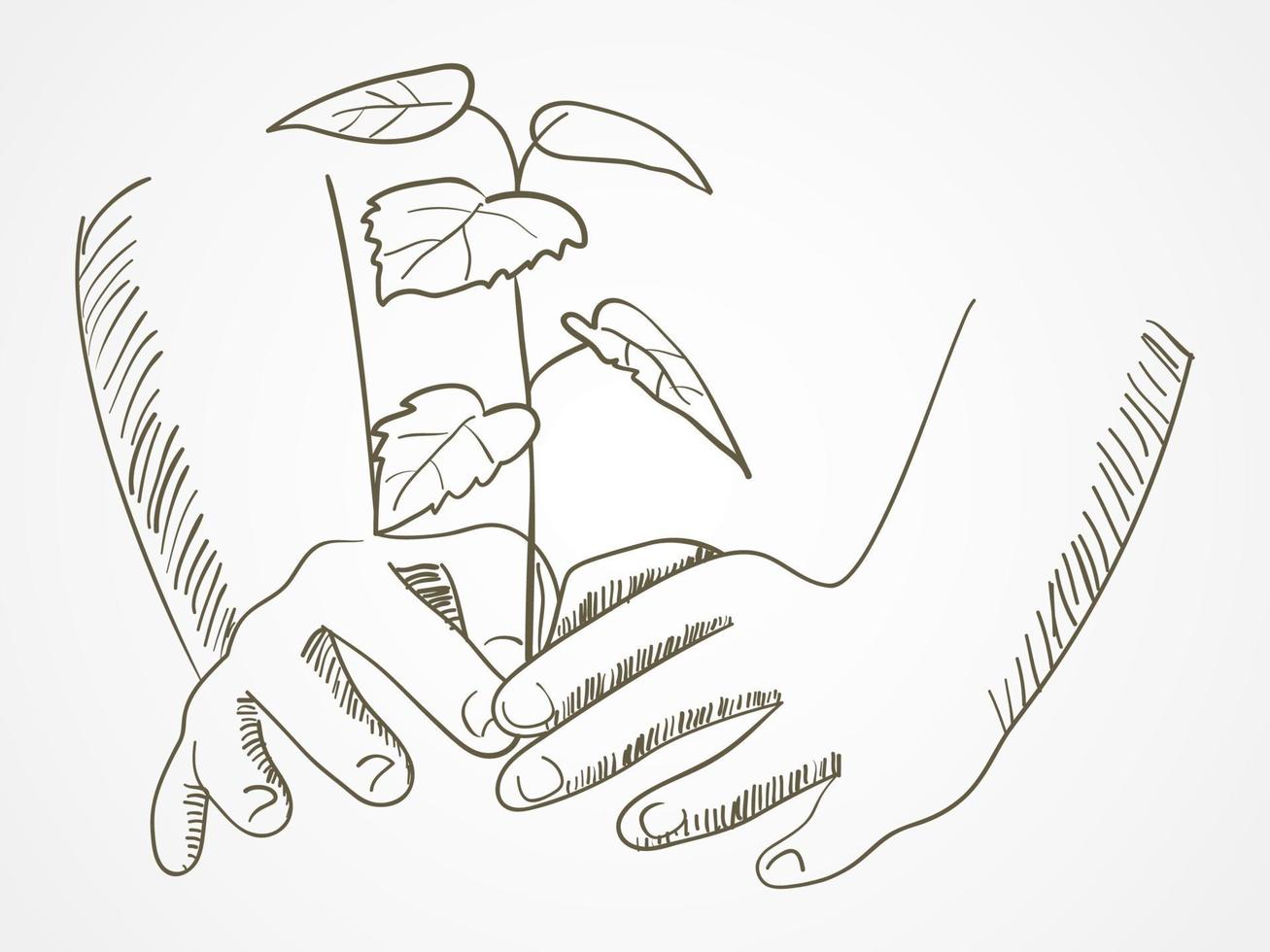 Line Art Of Hands Planting The Tree vector