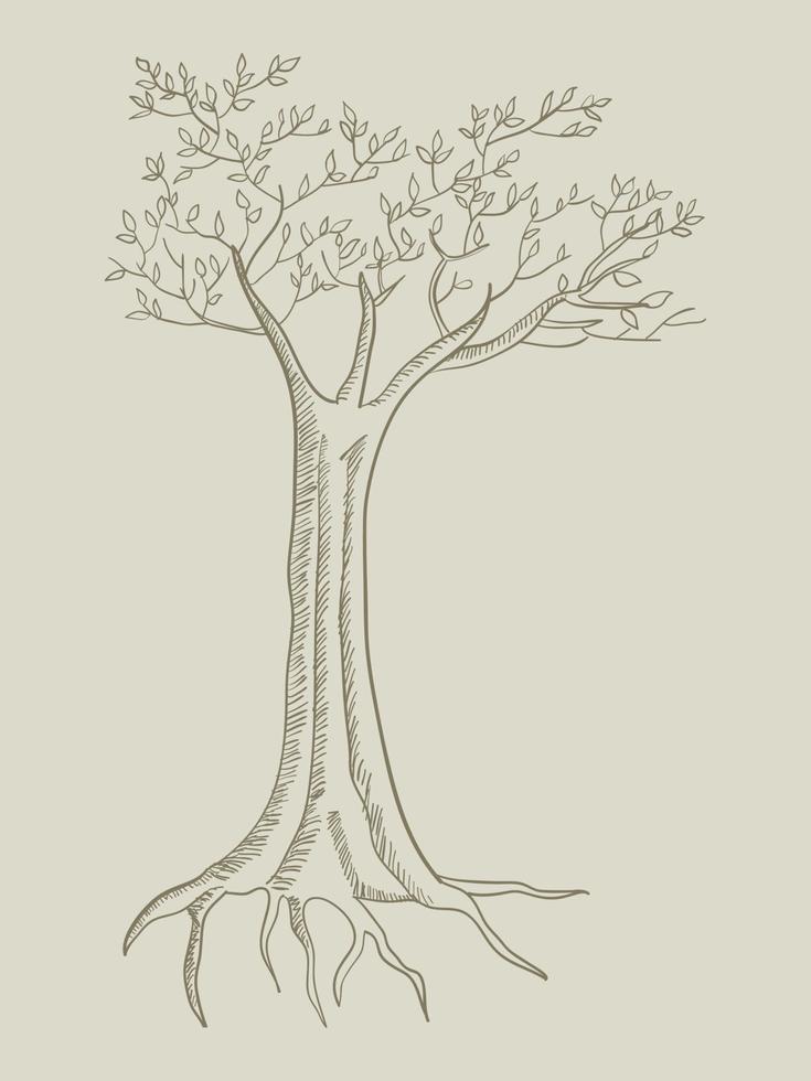 Ilustración de arte lineal de un árbol vector