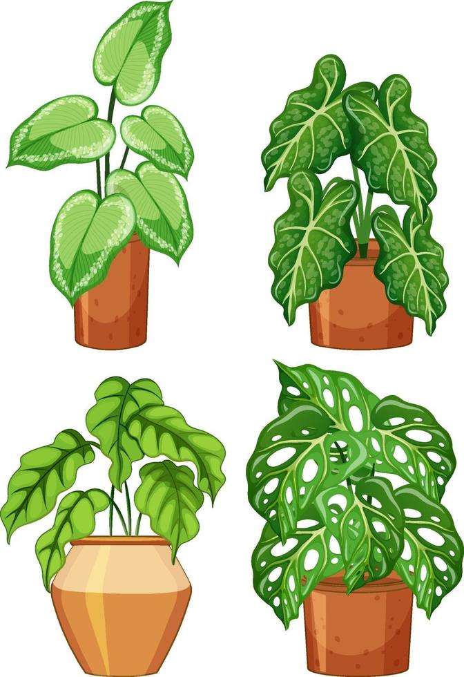 Set of different plants in pot with soil vector