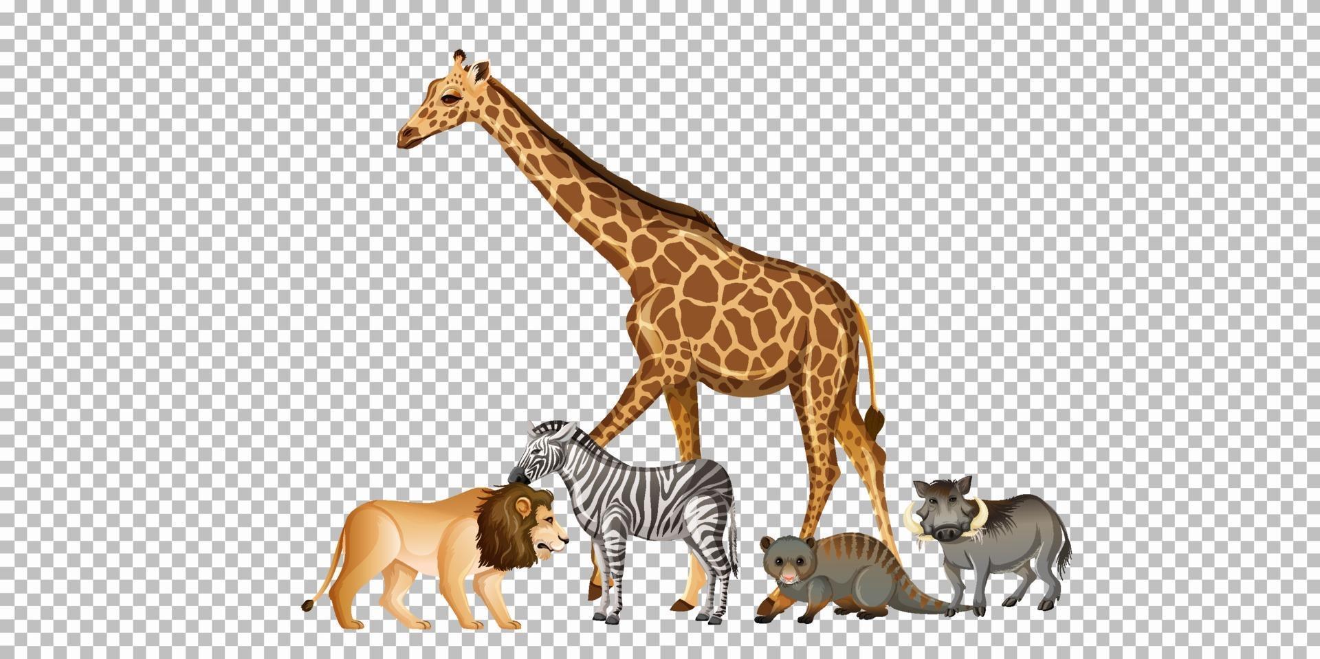 Group of wild african animal vector