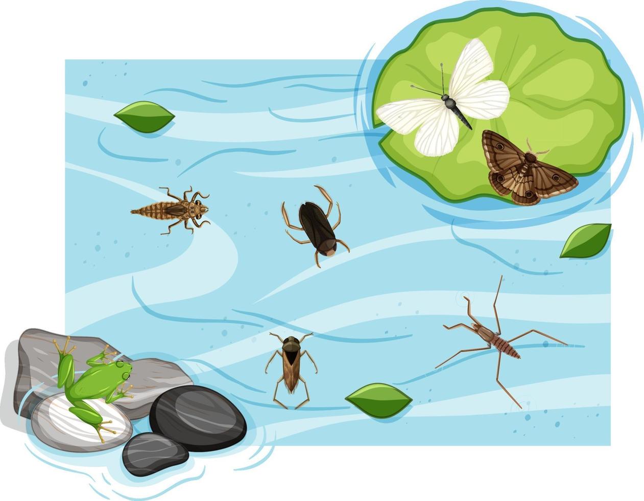 Top view of aquatic insects in the pond vector