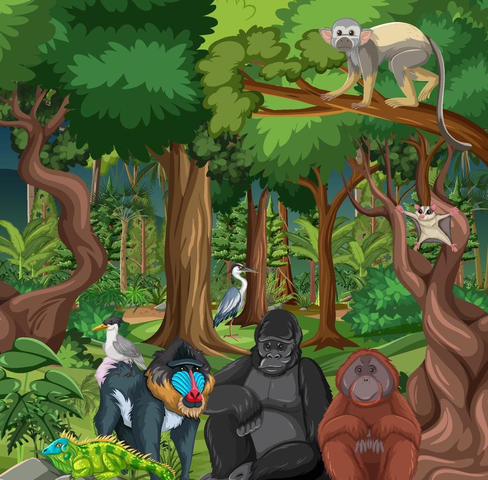 escena de la selva tropical con animales salvajes. vector