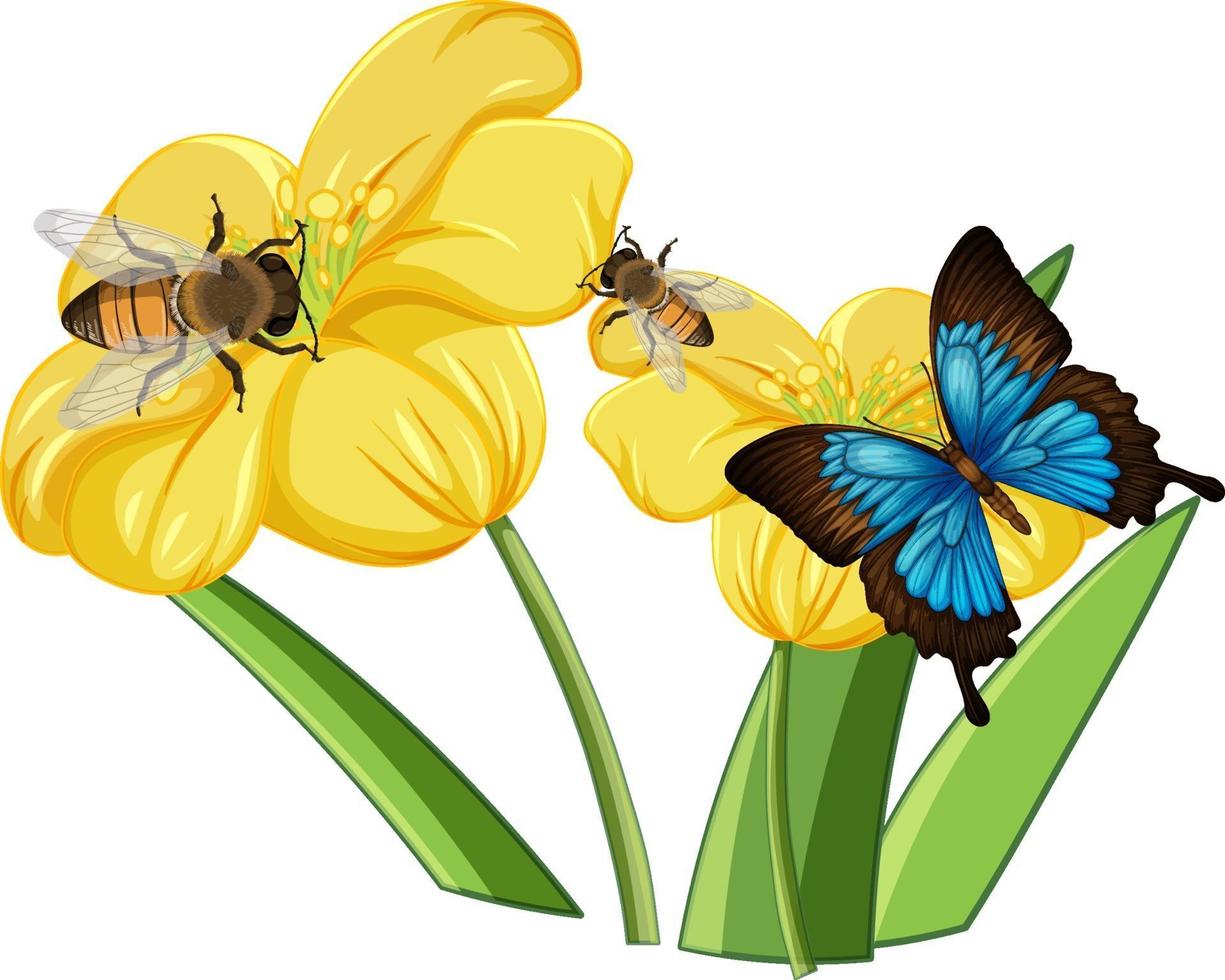 Close up of butterfly on the flowers vector