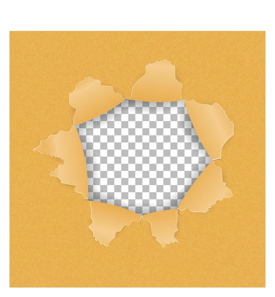 Torn paper hole vector