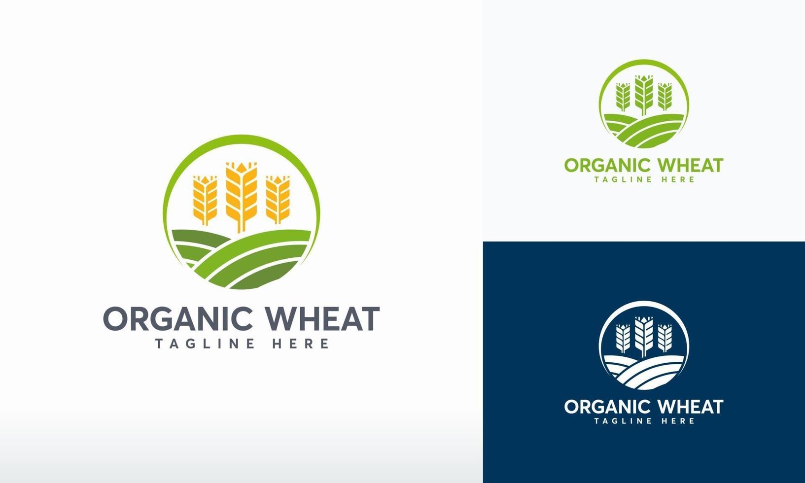 vector de concepto de diseños de logotipo de trigo orgánico, símbolo moderno de grano de trigo, símbolo de logotipo de agricultura