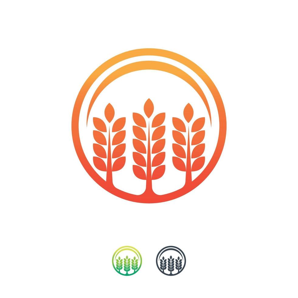 Plantilla de diseños de icono de trigo de granja, símbolo de icono de grano de agricultura vector