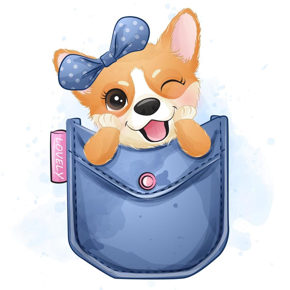 lindo corgi pequeño sentado dentro de un bolsillo vector