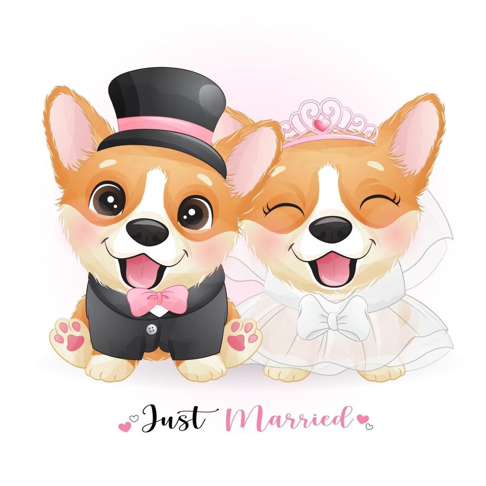Cute doodle dogs with wedding clothes for valentines day vector