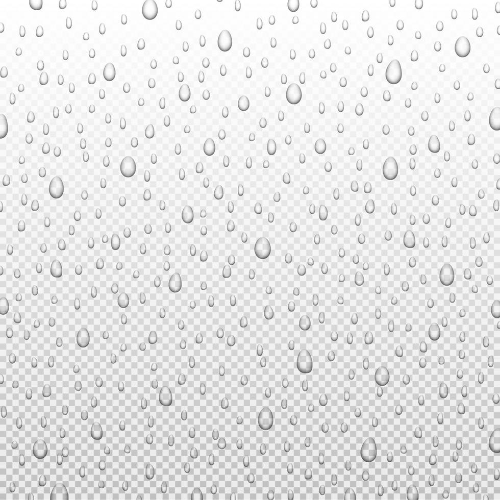 gotas de lluvia de agua o ducha de vapor aisladas. gotas puras realistas condensadas, ilustración vectorial vector
