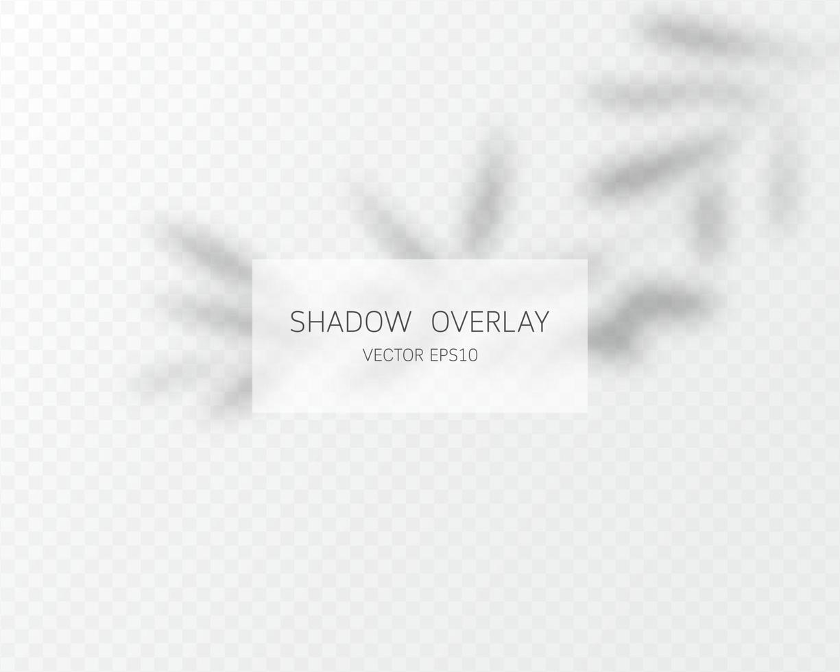 Shadow overlay effect. Natural shadows isolated. Vector illustration.