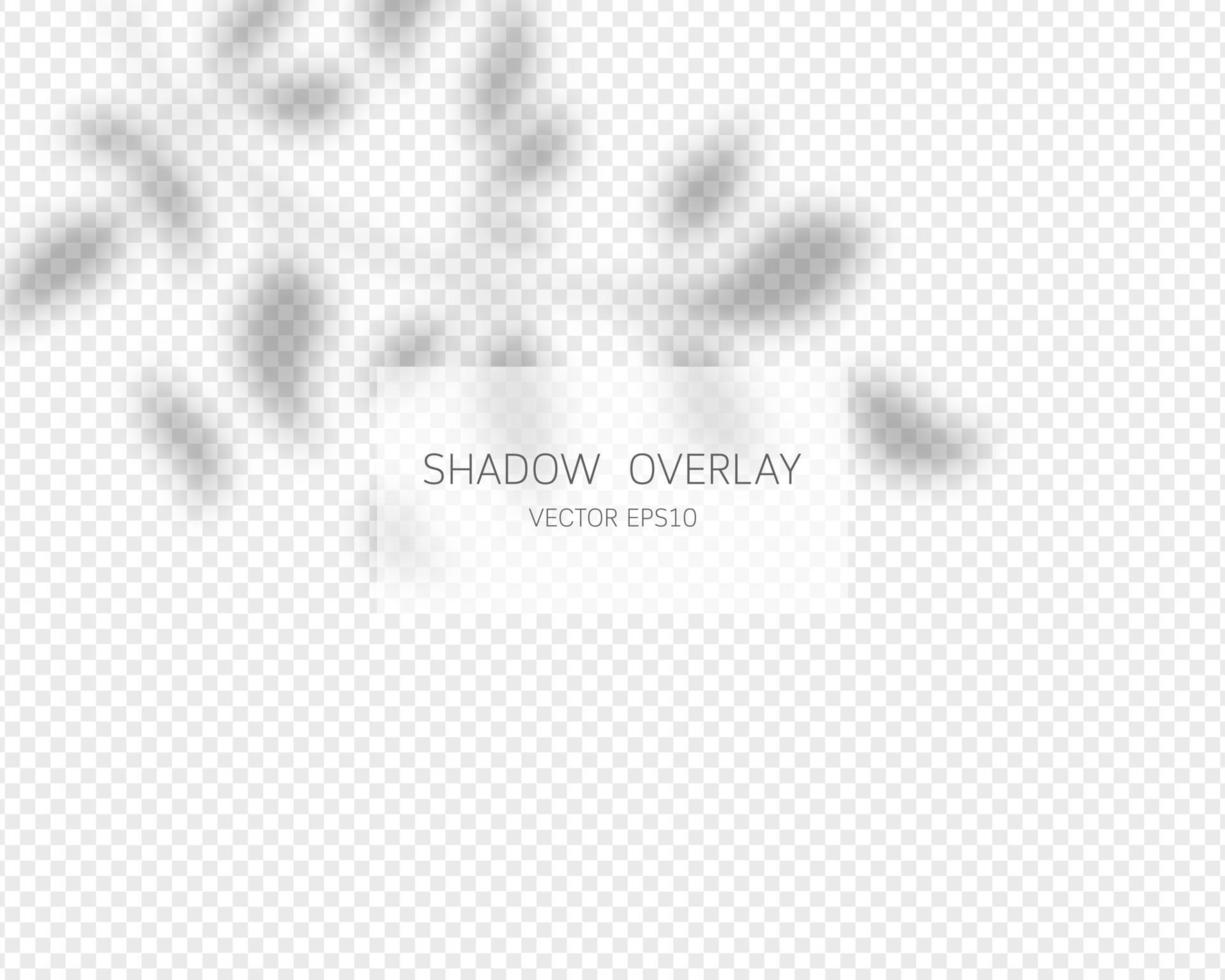 Shadow overlay effect. Natural shadows isolated. Vector illustration.