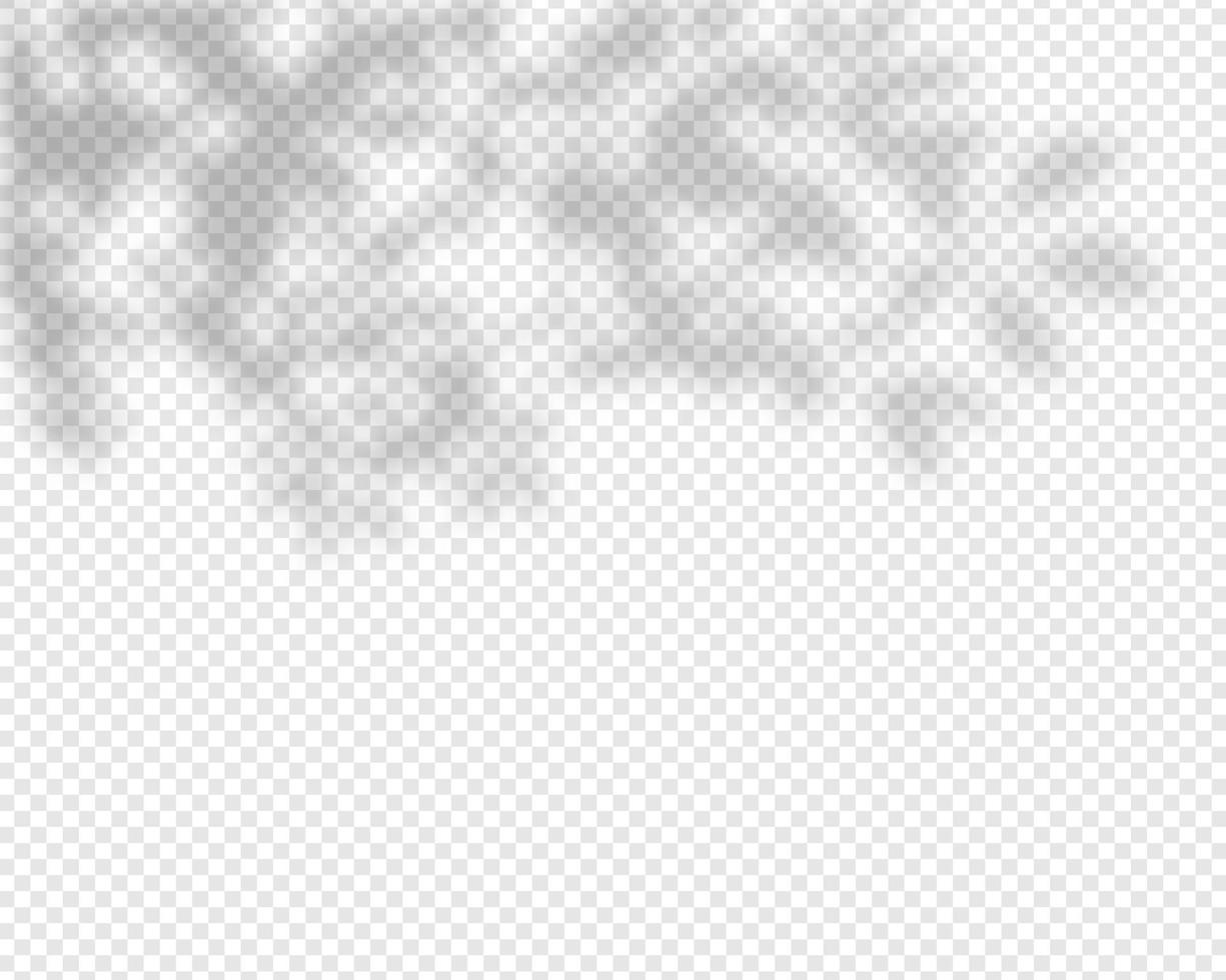 Shadow overlay effect. Natural shadows isolated. Vector illustration.