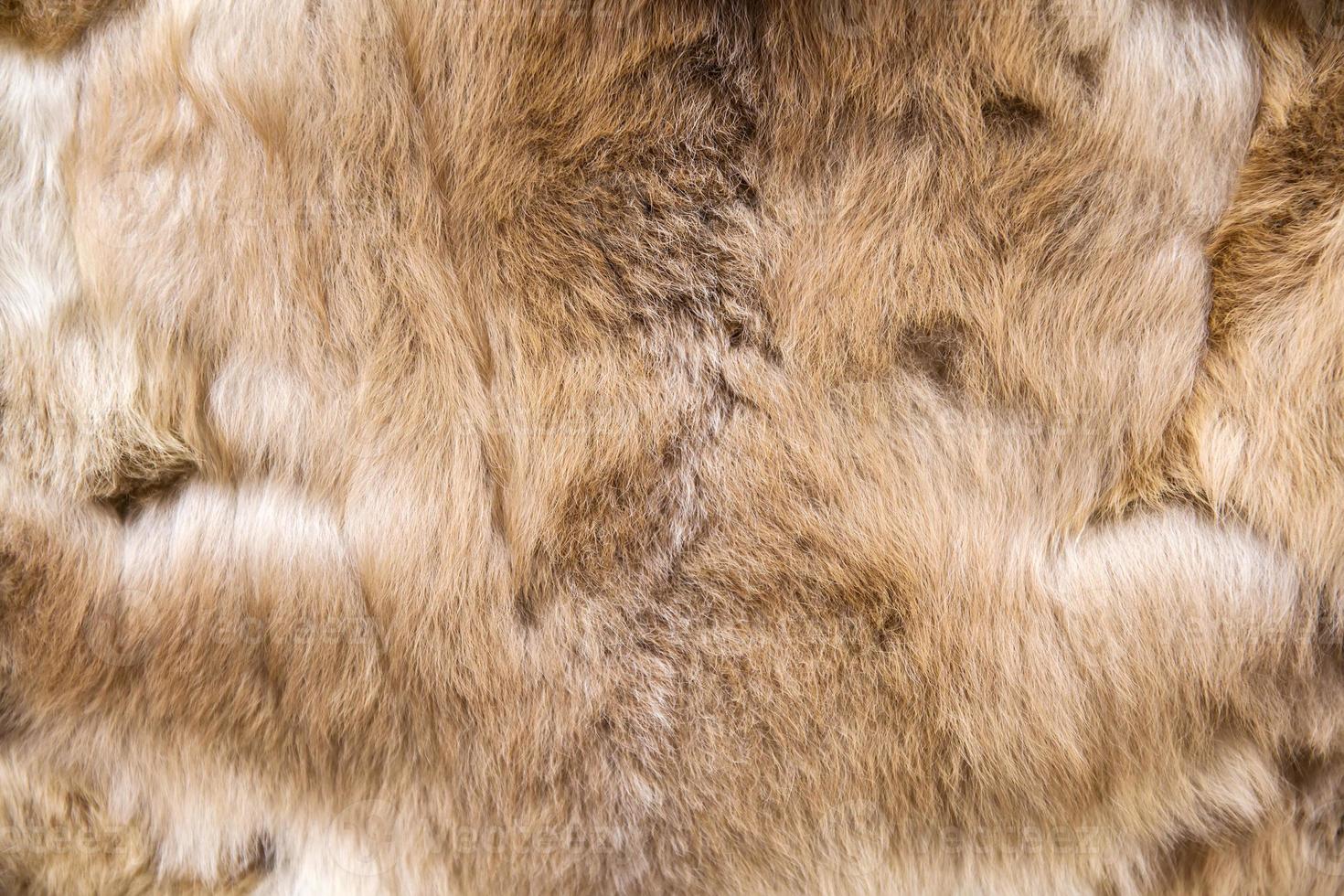 Baby alpaca wool photo