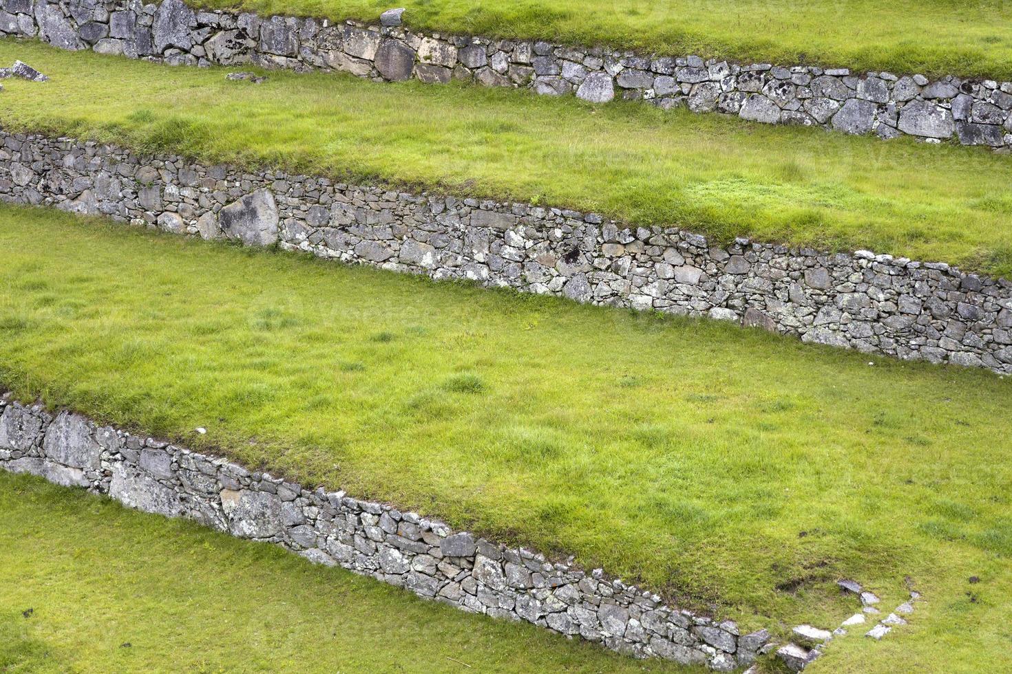 Green terraces in Peru photo