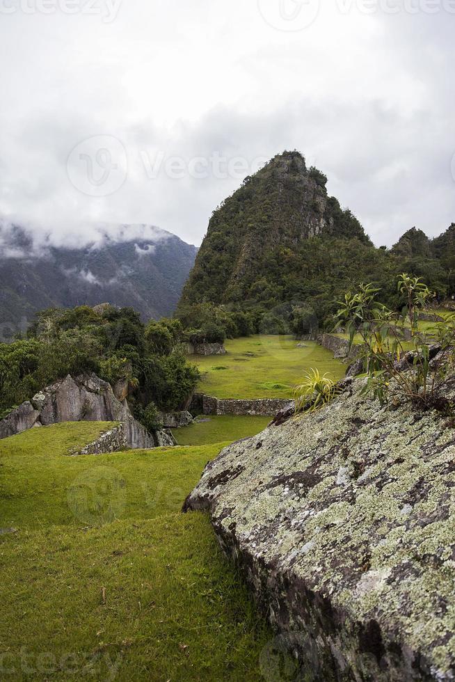 The wilderness in Peru photo