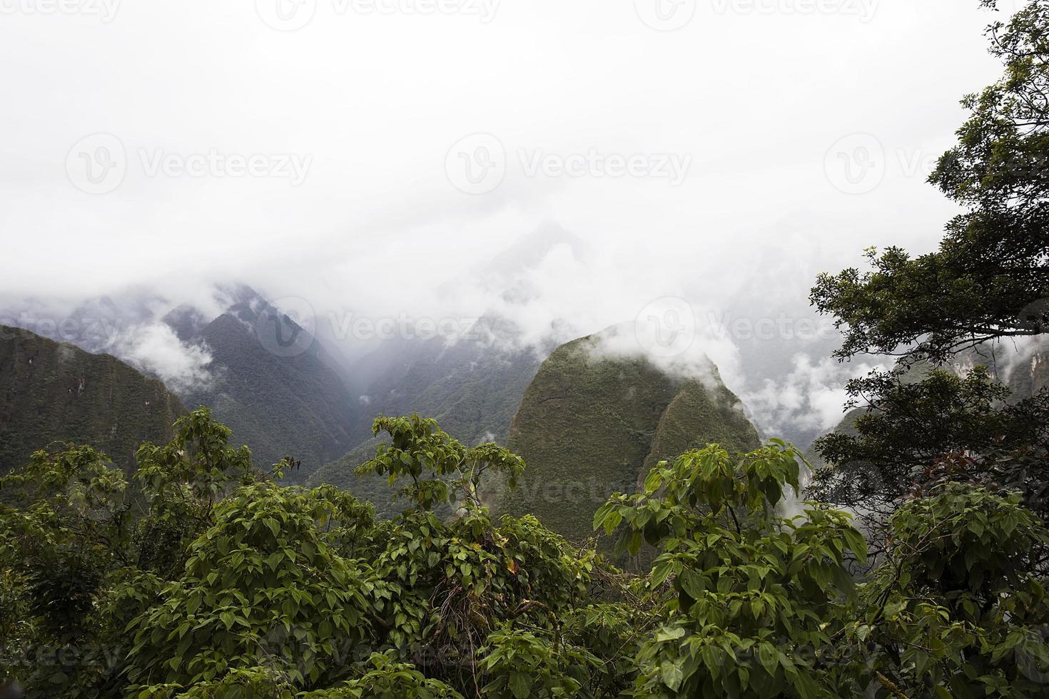 The wilderness in Peru photo