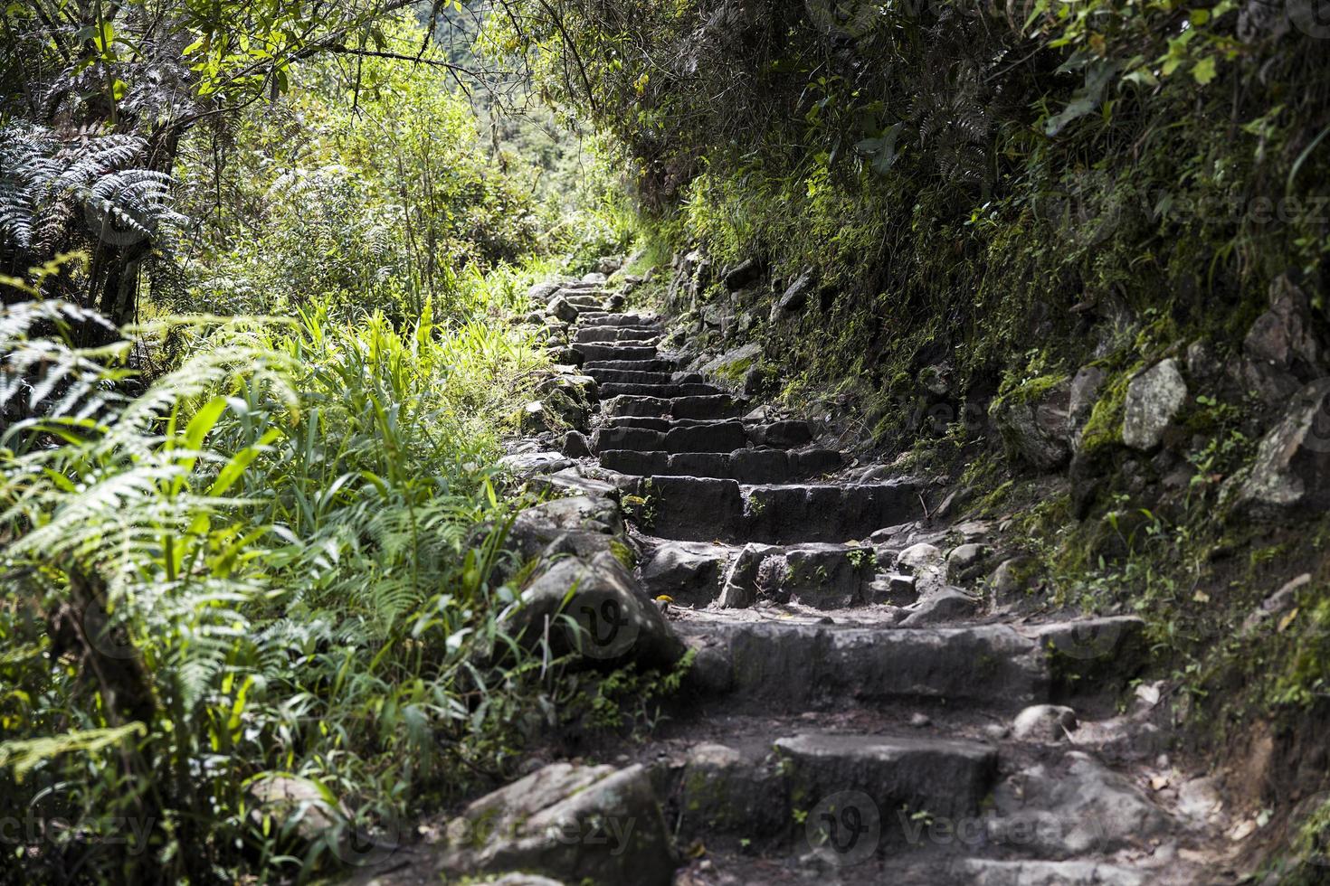 Machu Picchu in Peru photo