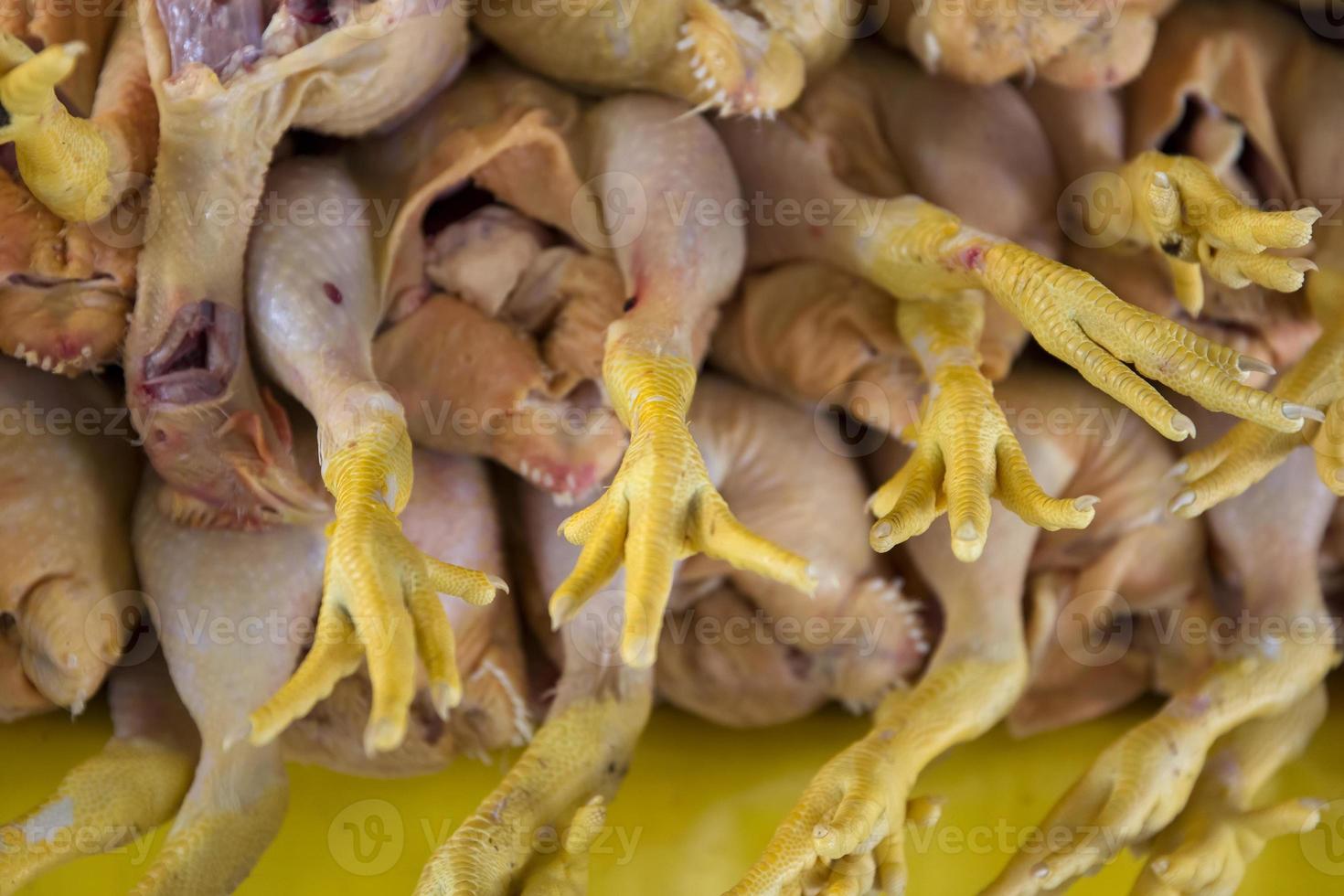 aves de corral en el mercado foto