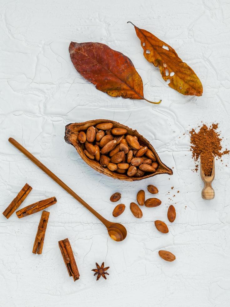 Top view of raw cocoa beans photo