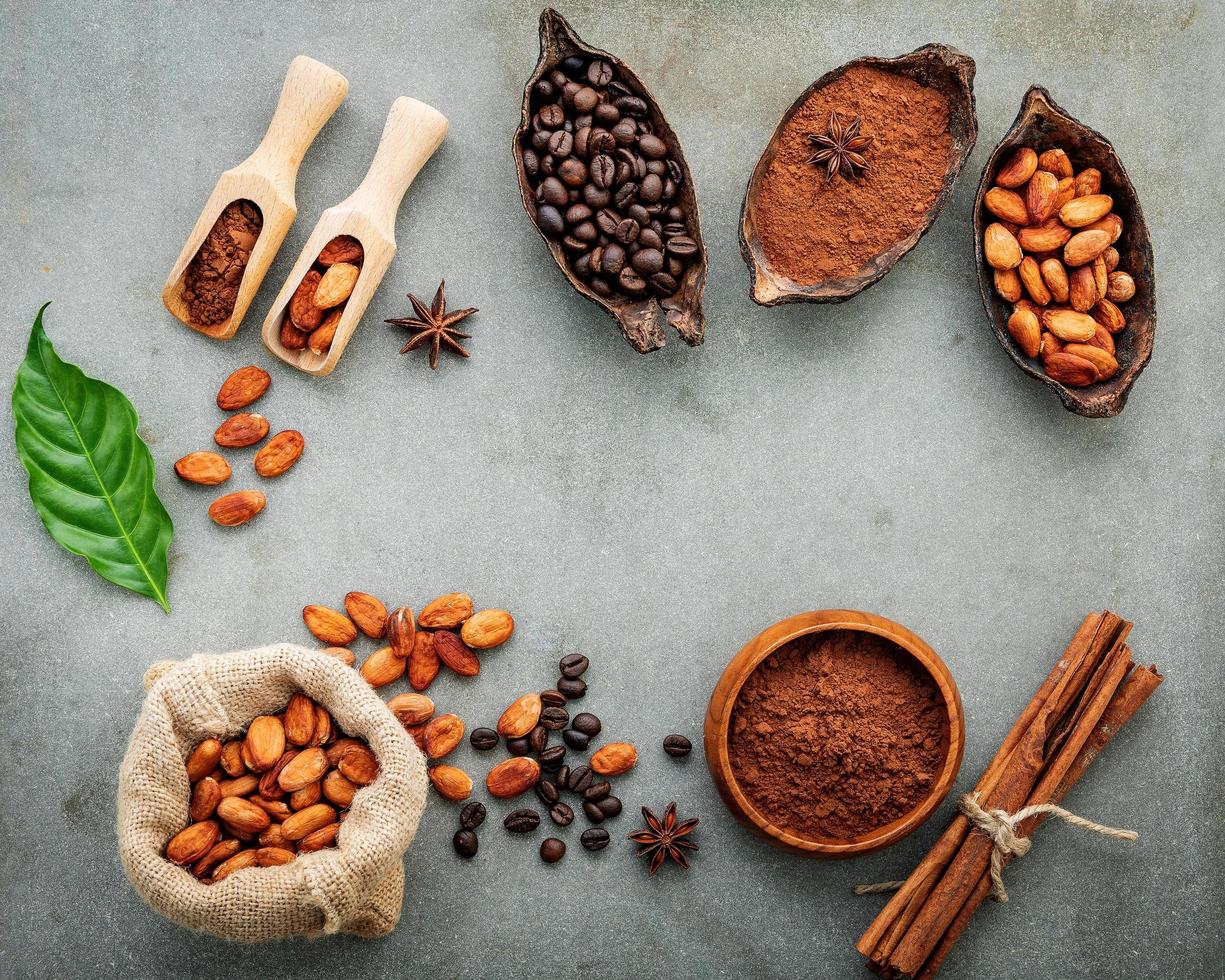 marco de cacao en polvo y granos de cacao foto