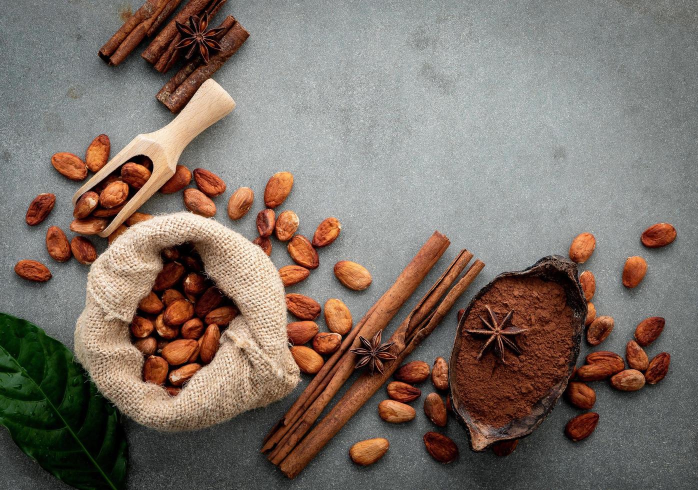 Cocoa powder and cacao beans on concrete photo