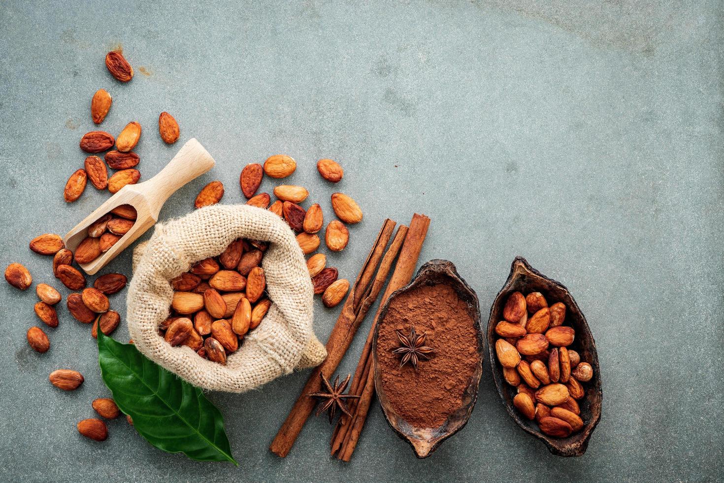 Cocoa powder and cacao beans with cinnamon photo