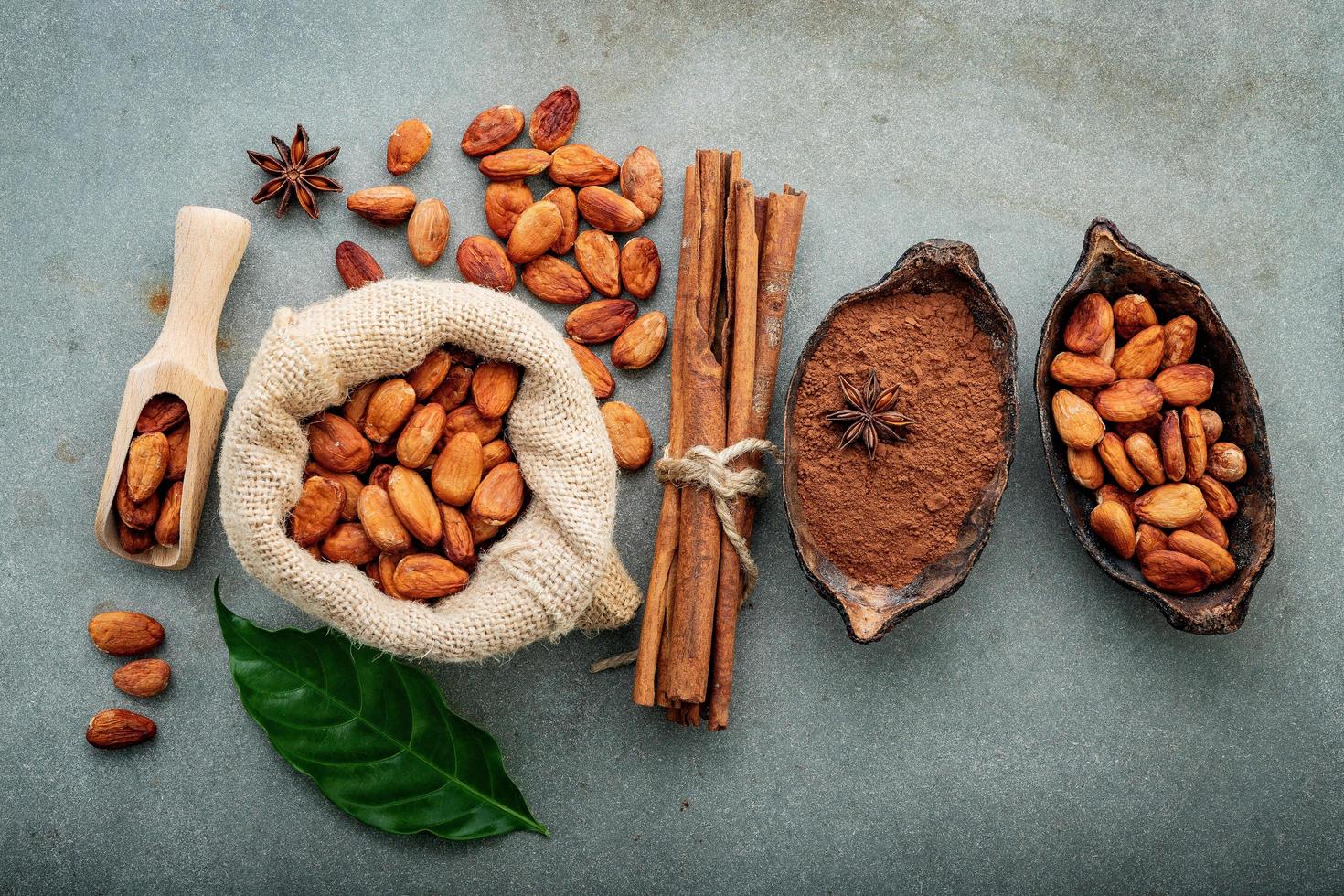 Fresh cocoa powder and cacao beans photo