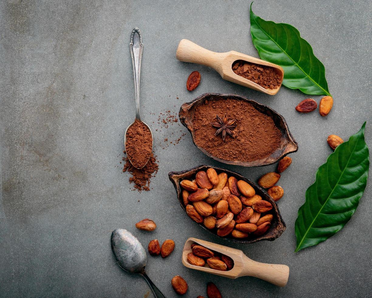Top view of cocoa powder and cacao beans on concrete photo
