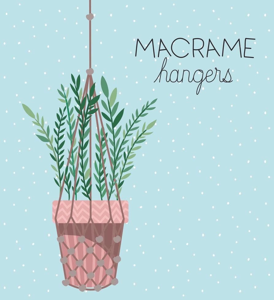 houseplant in a macrame hanger vector